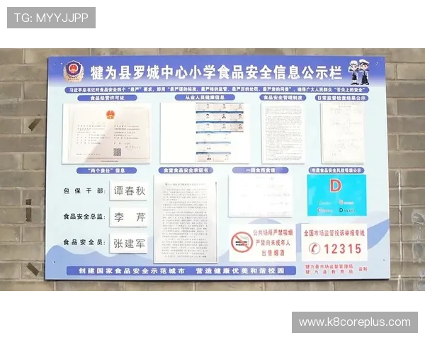 凯发娱乐线上开户安全性分析保障用户个人信息和资金安全措施